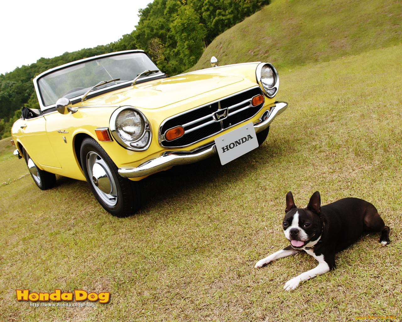 , honda